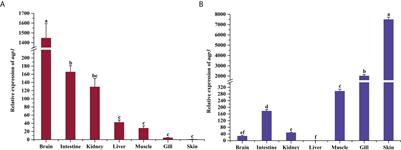 Aquaporins1 and 3 in the tissues of Paramisgurnus dabryanus and their expression profiles in response to ammonia and drought